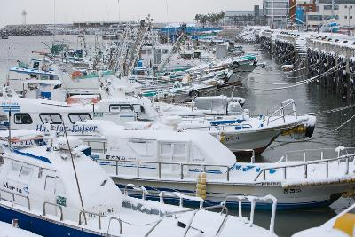 大雪 관련