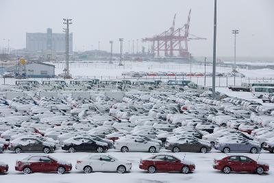 大雪 관련