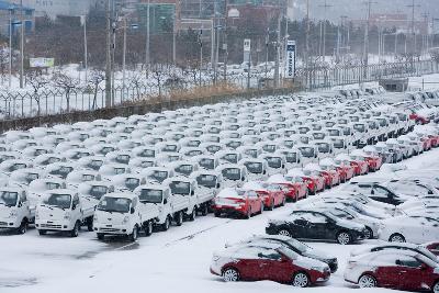 大雪 관련