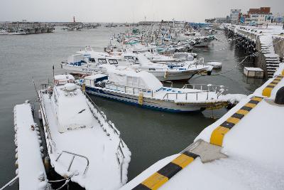 大雪 관련