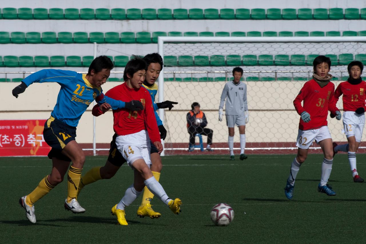 금석배축구