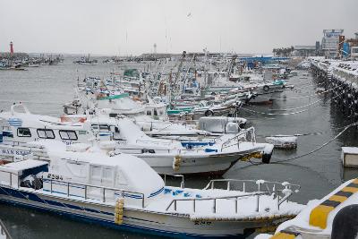 大雪 관련