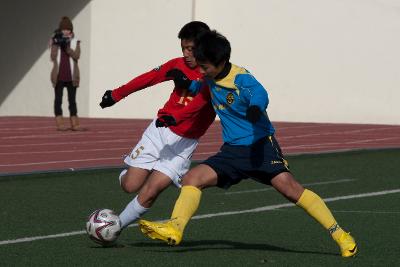 금석배축구