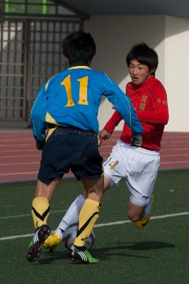 금석배축구