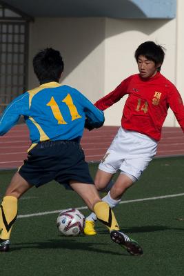 금석배축구