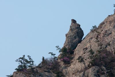 고군산군도