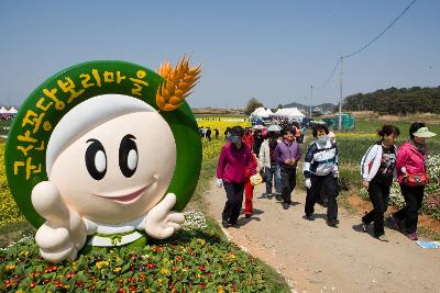 미성 꽁당보리축제