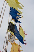 새만금 깃발축제에 전시된 깃발들1사진(00002)