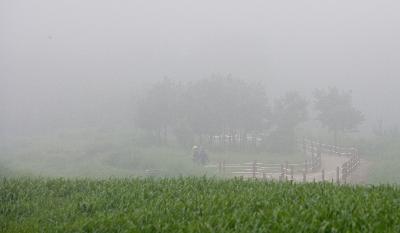 안개낀 구불길을 산책하는 사람들이 보이는 모습