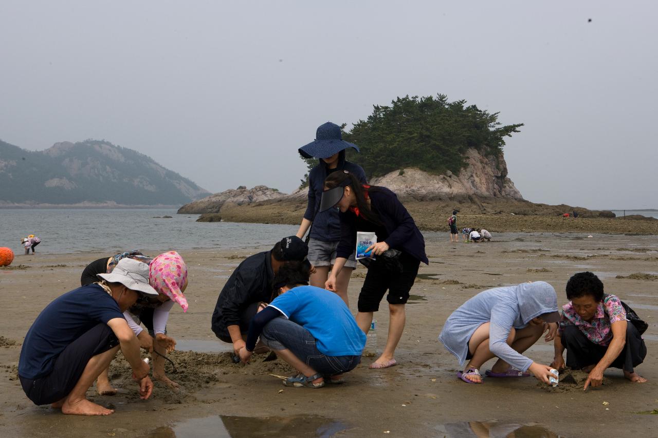 모래사장에서 조개를 캐는 가족들의 모습4