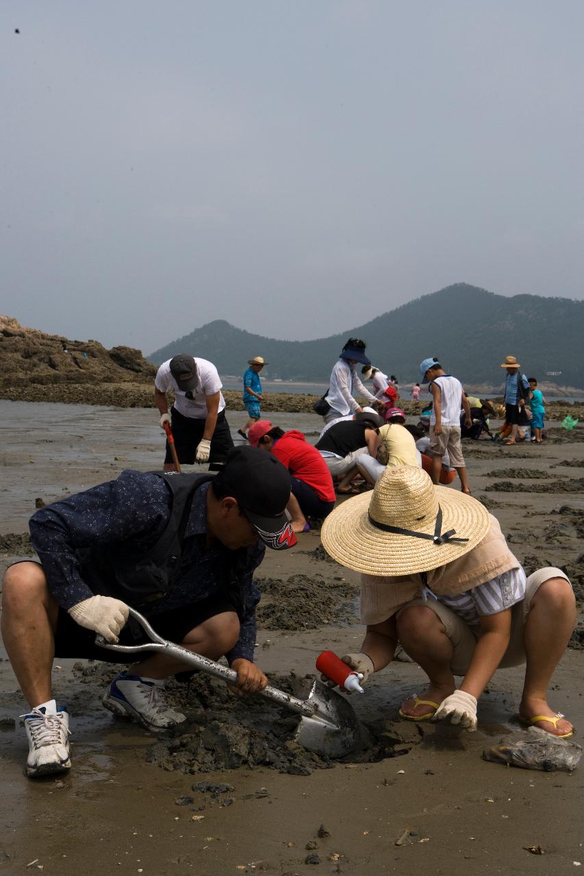 물빠진 해수욕장에서 조개를 캐는 관광객들의 모습5