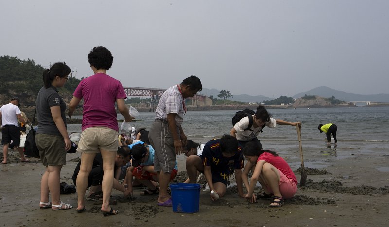 물빠진 해수욕장에서 조개를 캐는 관광객들의 모습2
