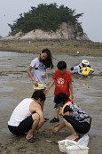 모래사장에서 조개를 캐는 가족들의 모습2사진(00005)