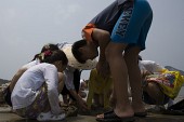 물빠진 해수욕장에서 조개를 캐는 관광객들의 모습7사진(00022)