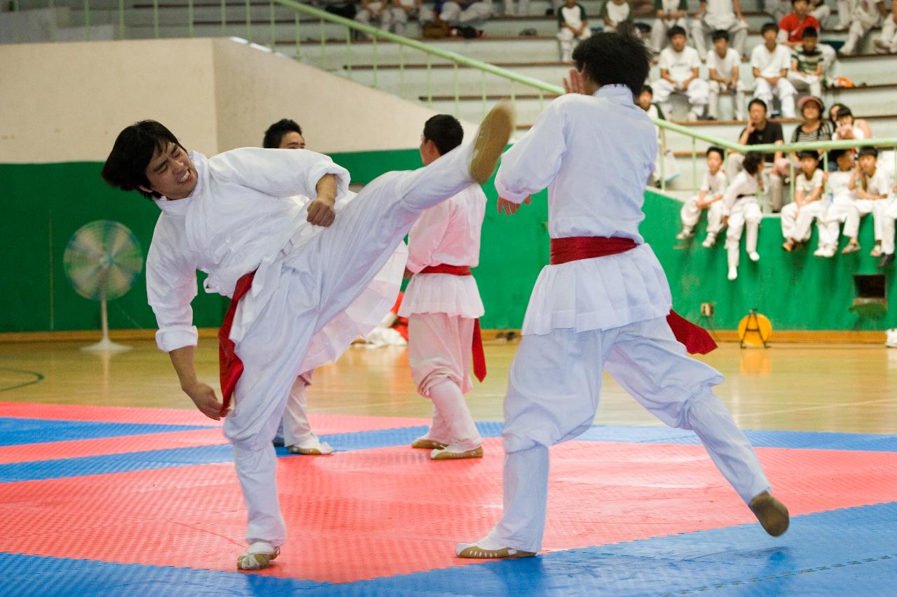 택견연맹회장기 전국택견대회