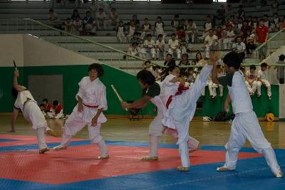 택견연맹회장기 전국택견대회