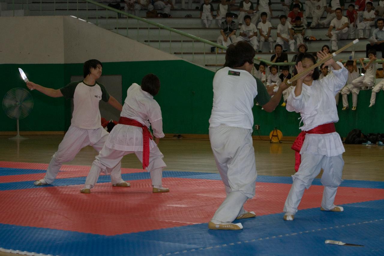 택견연맹회장기 전국택견대회