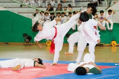 택견연맹회장기 전국택견대회