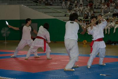 택견연맹회장기 전국택견대회