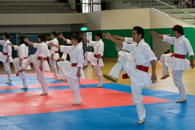 택견연맹회장기 전국택견대회