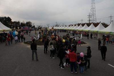 철새축제