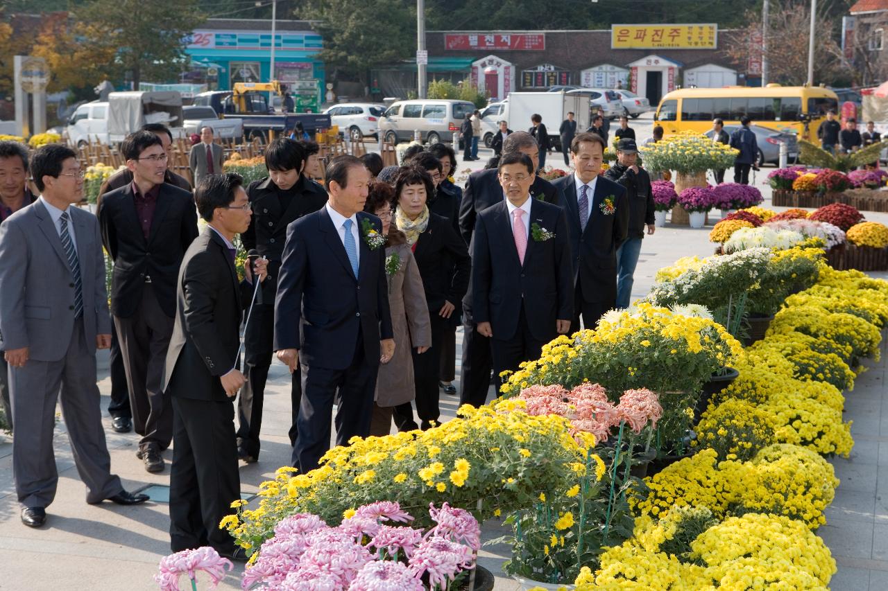 국화전시회