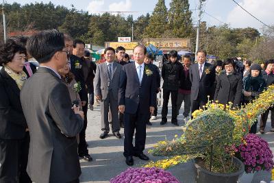 국화전시회