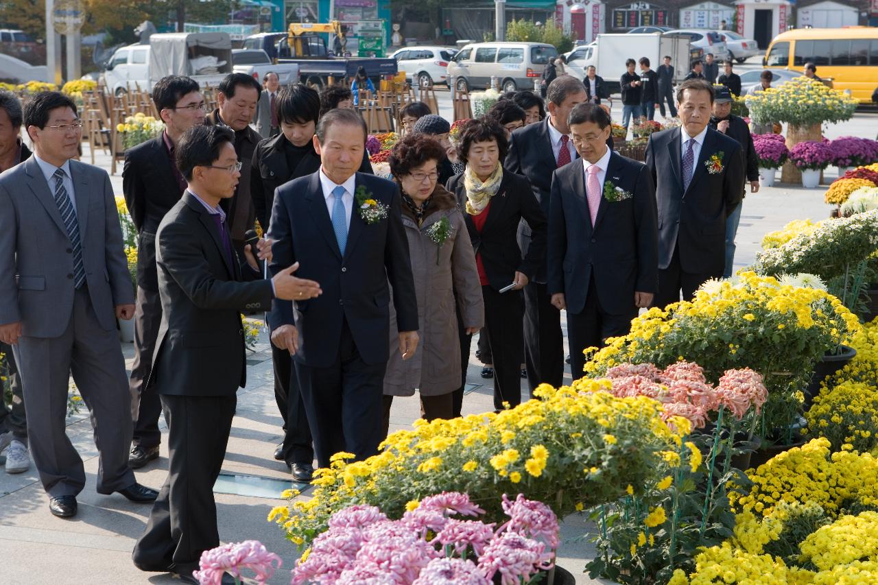 국화전시회