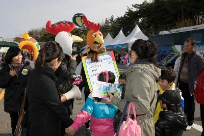 철새축제