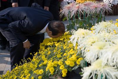 국화전시회