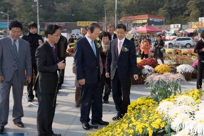 국화전시회