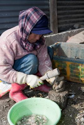 석화 손질