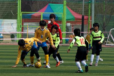 금석배 축구대회