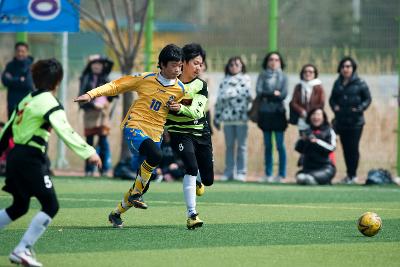 금석배 축구대회