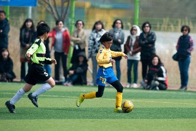 금석배 축구대회