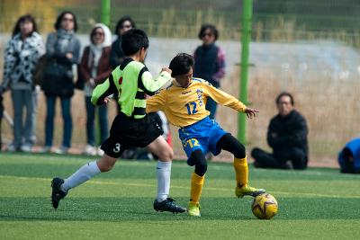 금석배 축구대회