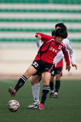 금석배 축구대회