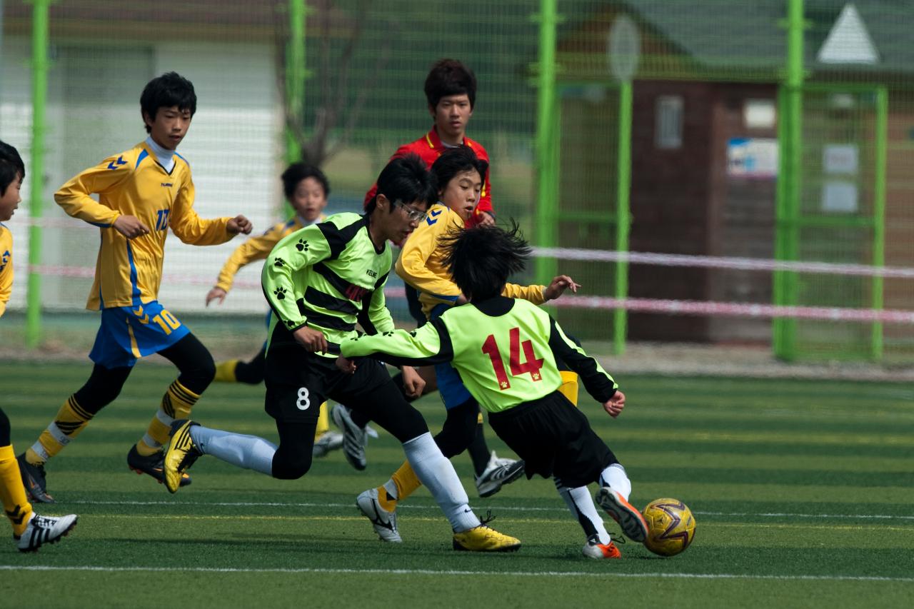 금석배 축구대회