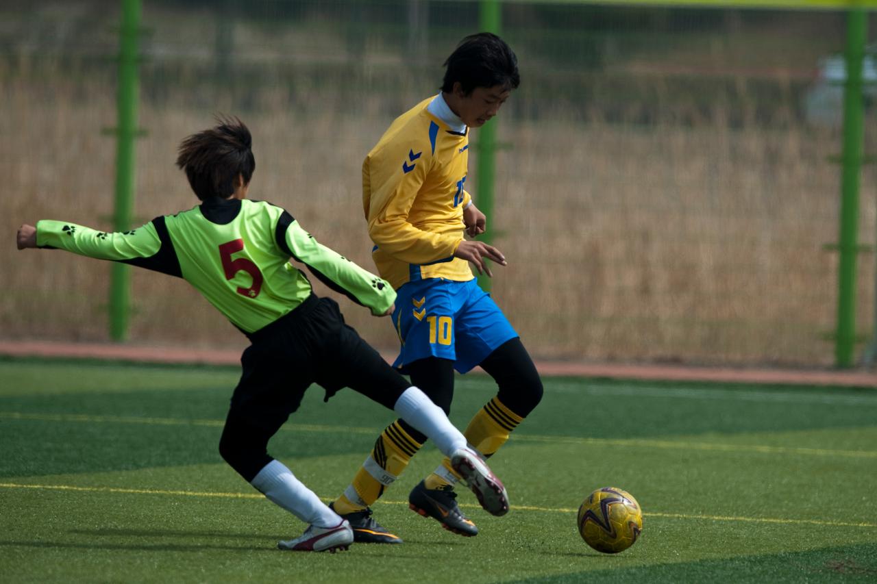 금석배 축구대회