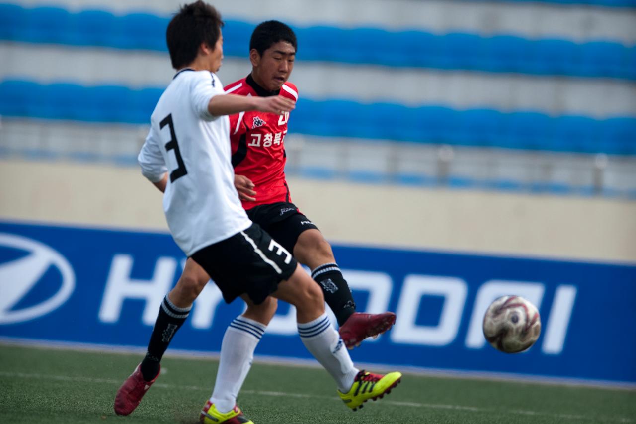 금석배 축구대회