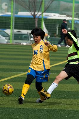 금석배 축구대회