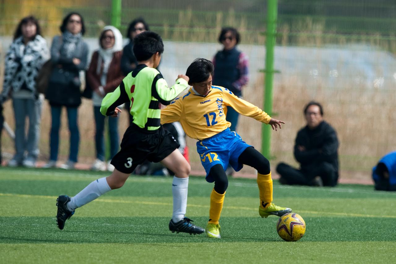 금석배 축구대회