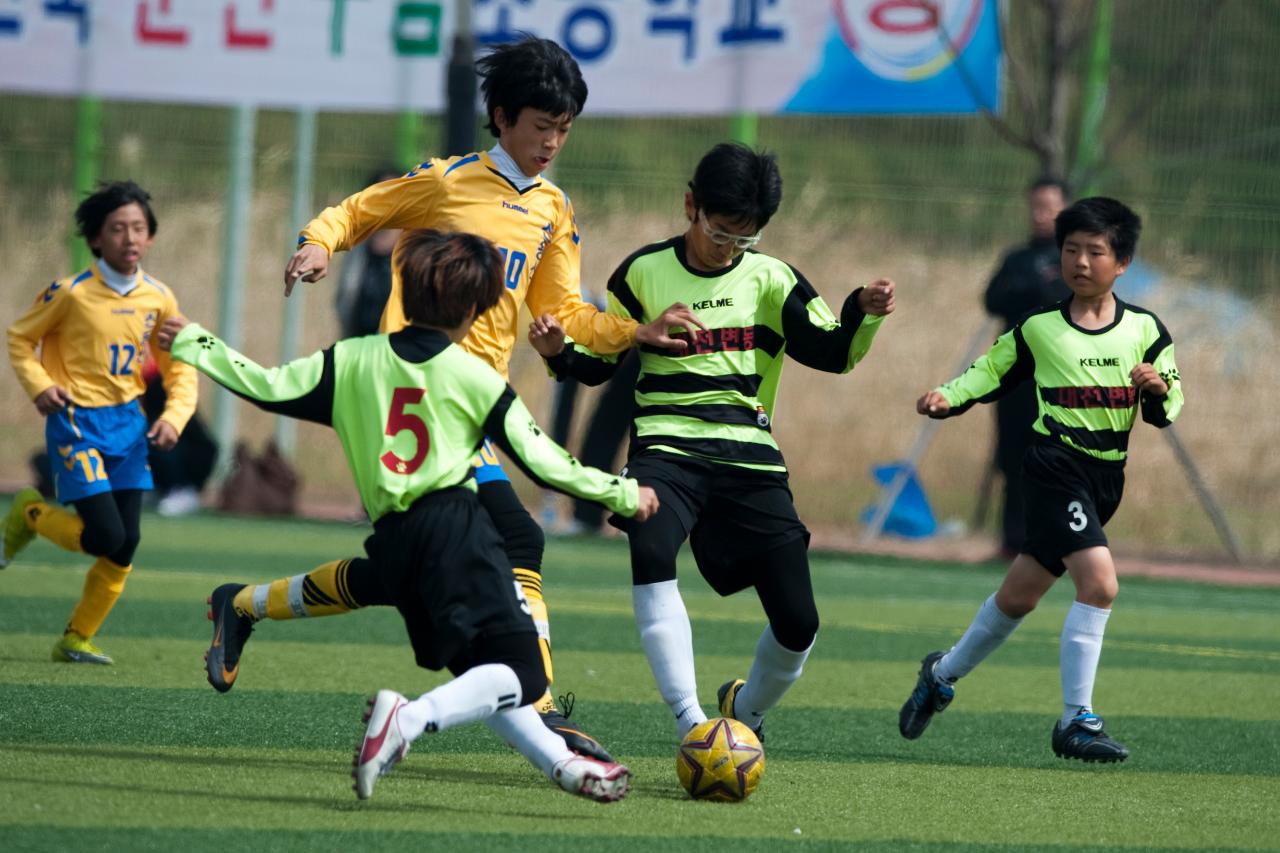 금석배 축구대회