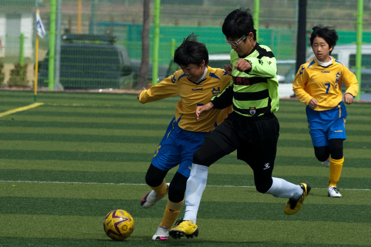 금석배 축구대회