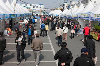 군산수산물축제