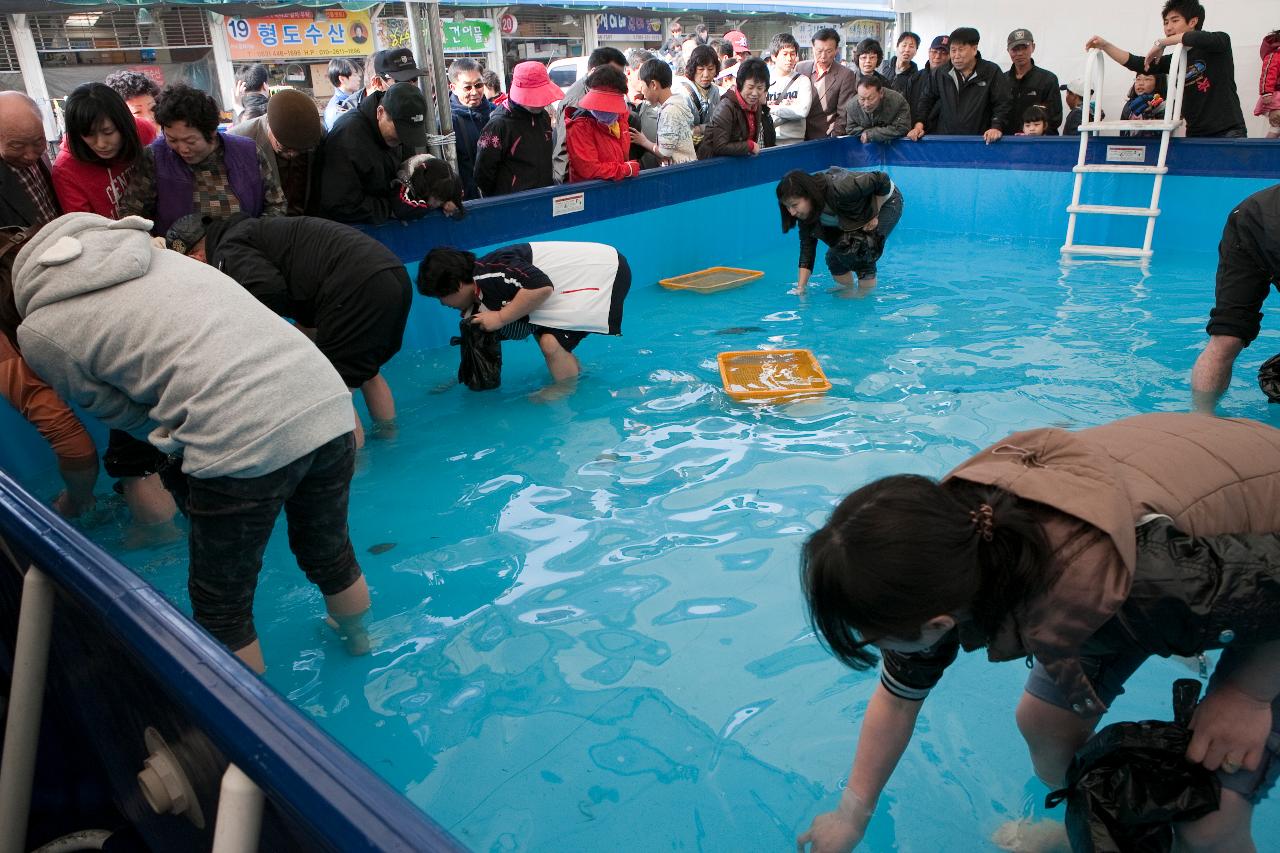 군산수산물축제