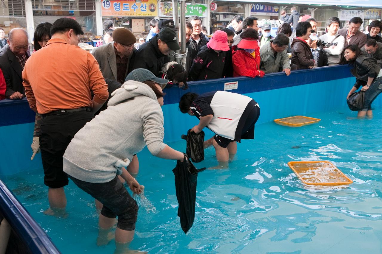 군산수산물축제