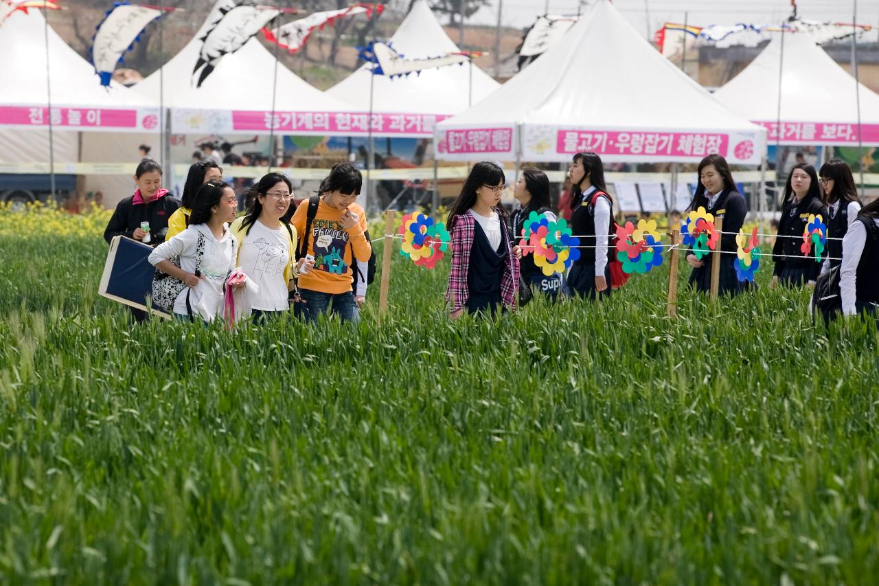 꽁당보리 축제