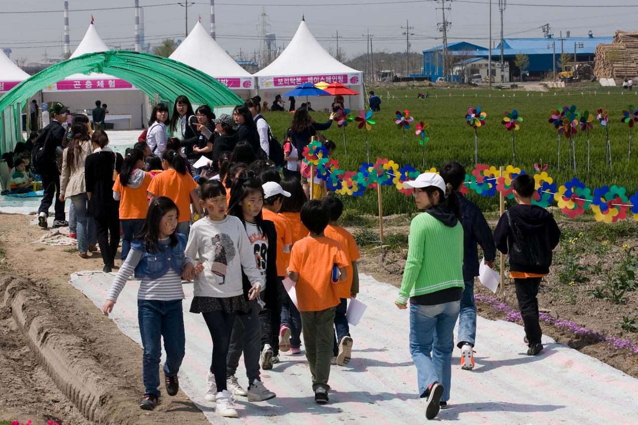 꽁당보리 축제