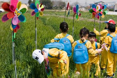 꽁당보리 축제